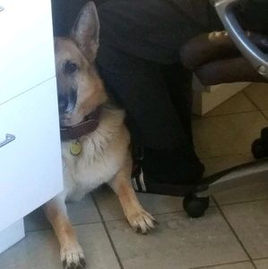 Meet your Posher, Justin